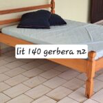 Lit 140 Gerbera 2